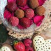 Trufas de chocolate con cacao y polvo de frambuesas